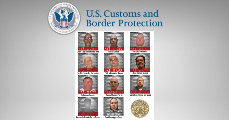 Feds Arrest Group of Illegal Aliens Who Were Convicted Sex Offenders in Florida
